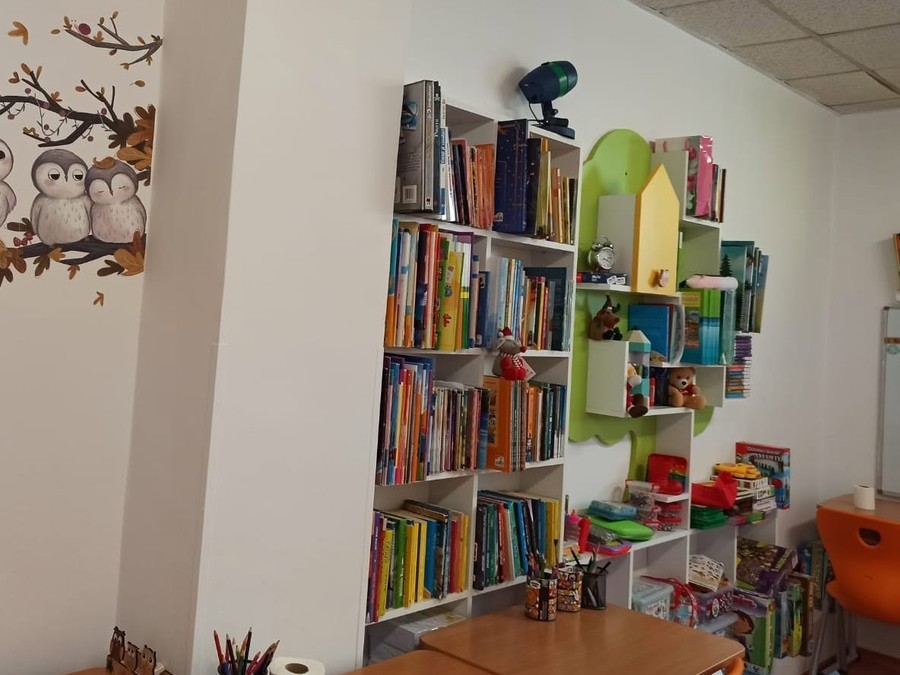 Colțul de bibliotecă, cu bufnițele pictate pe perete și rafturile pline